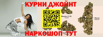 молекула духа Можга