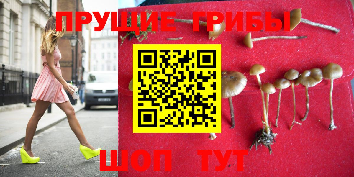 Орехово-Зуево  Псилоцибиновые грибы ЛСД  Вход с VPN  Псилоцибиновые грибы GOLDEN TEACHER 